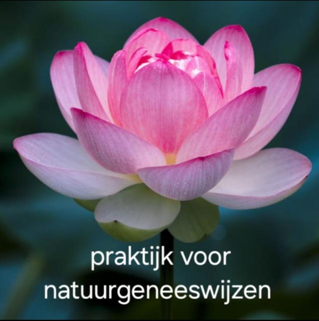 MarleenNatuurgeneeswijzen